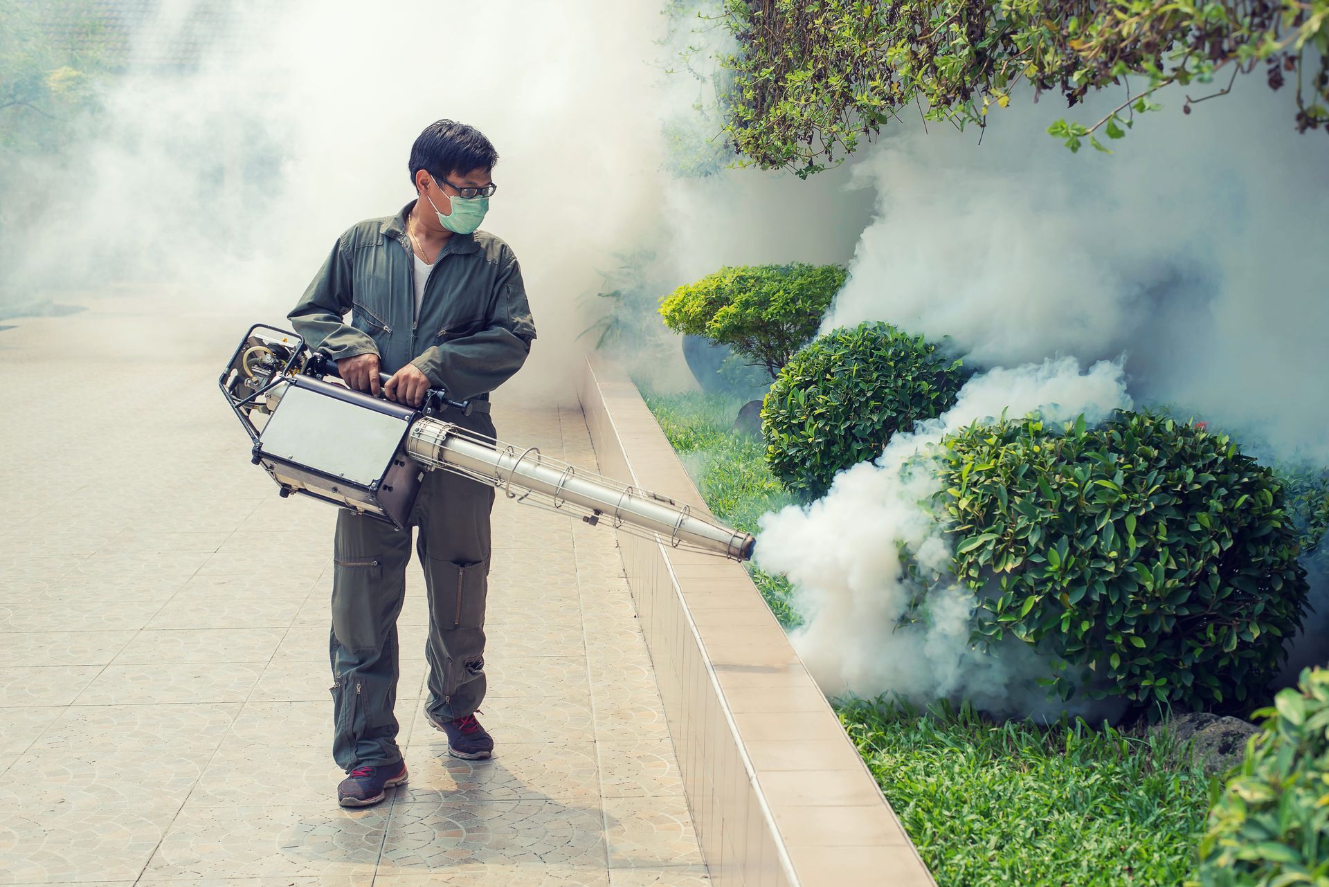 Bug Extermination Services