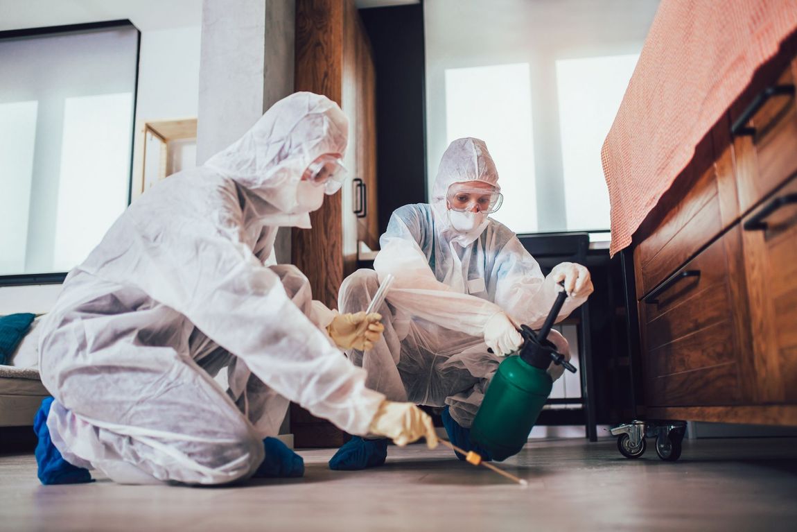 Two Exterminators