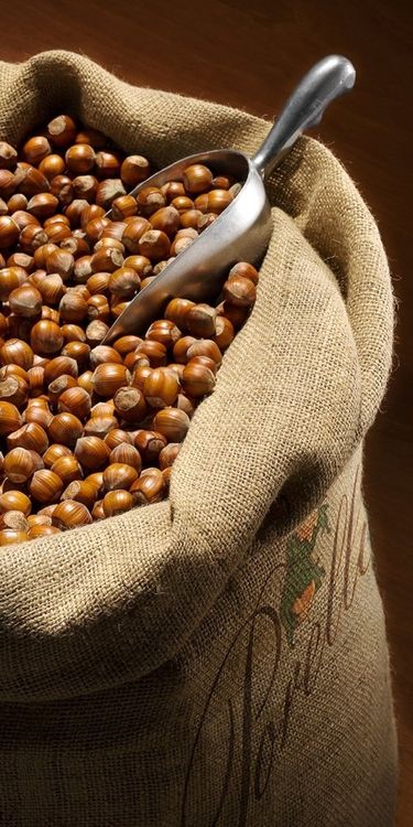 hazelnuts