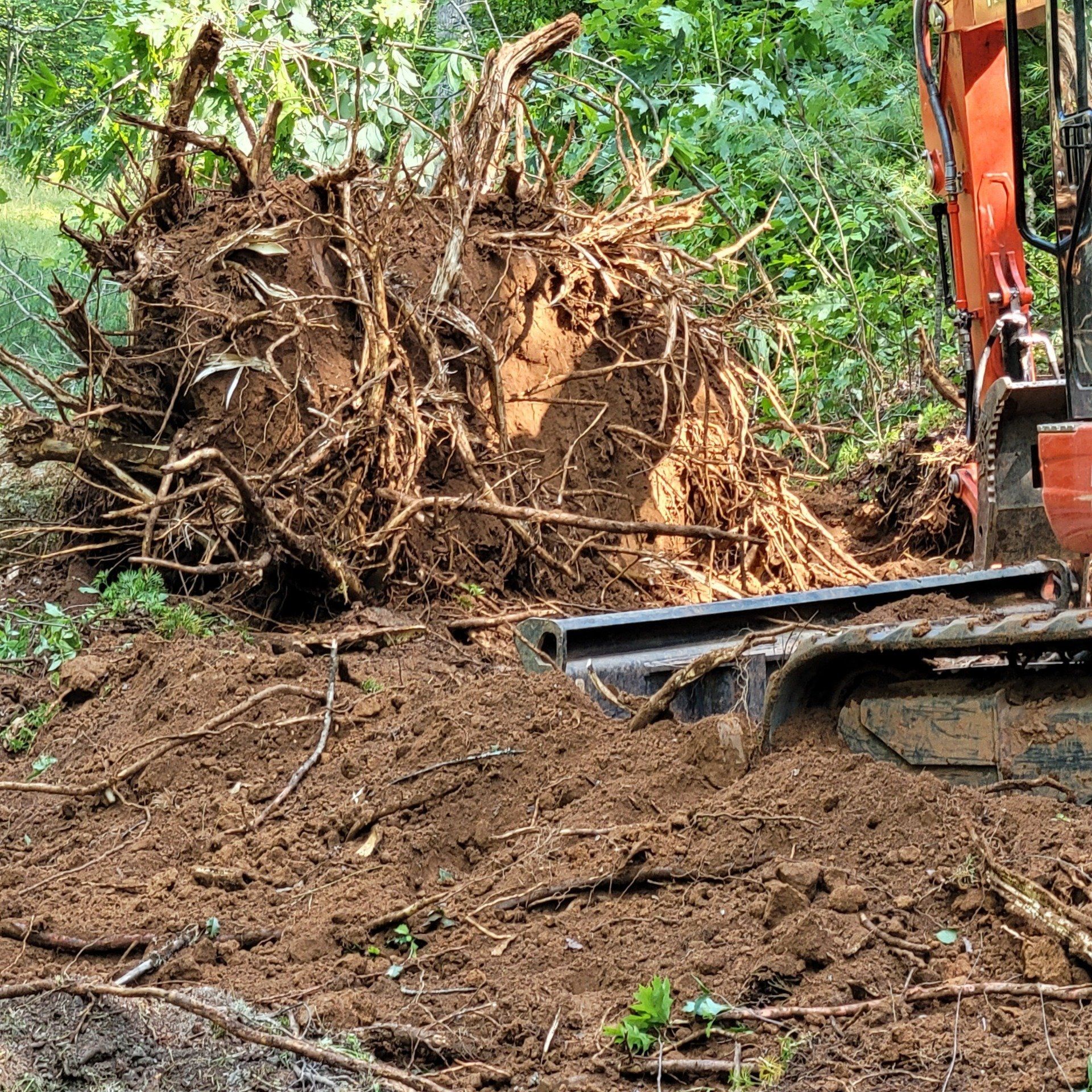 Land Clearing