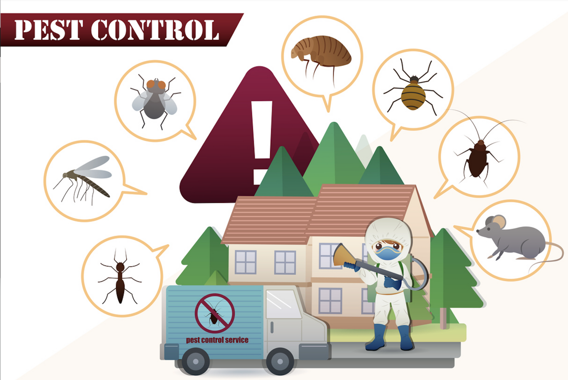 Practical Tips for Effective Pest Control