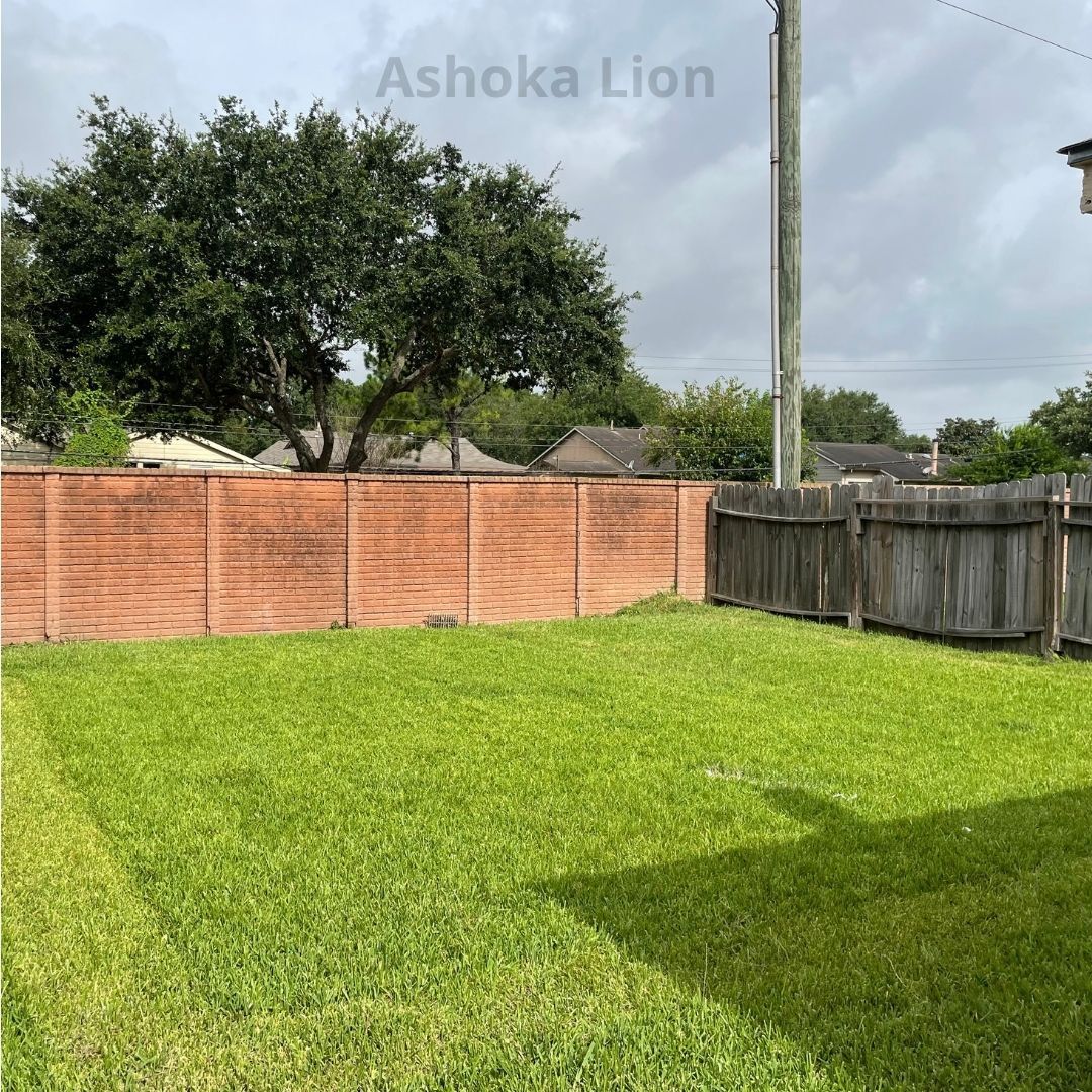 Houston property management company