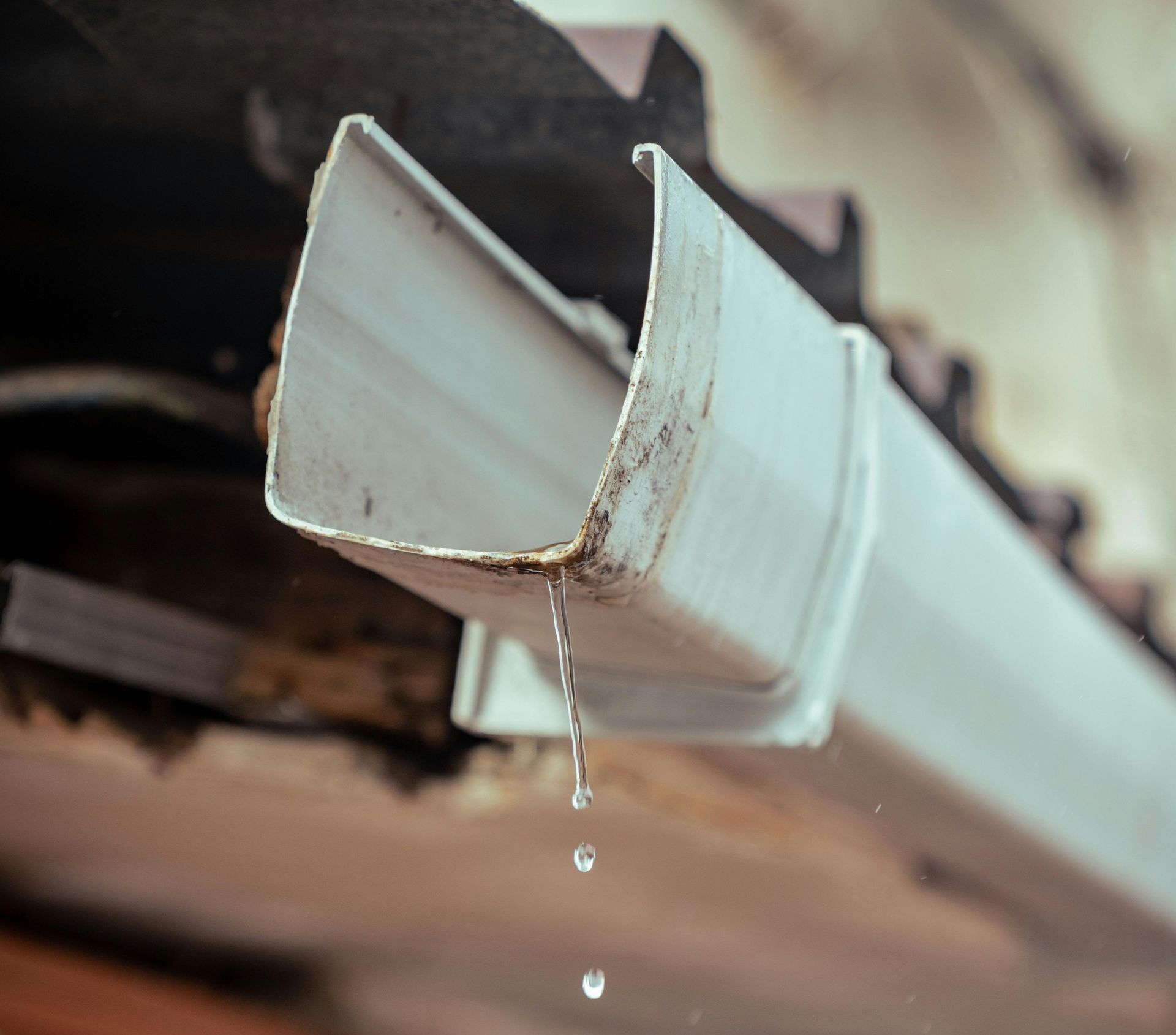Tenant responsibilities for gutter maintenance