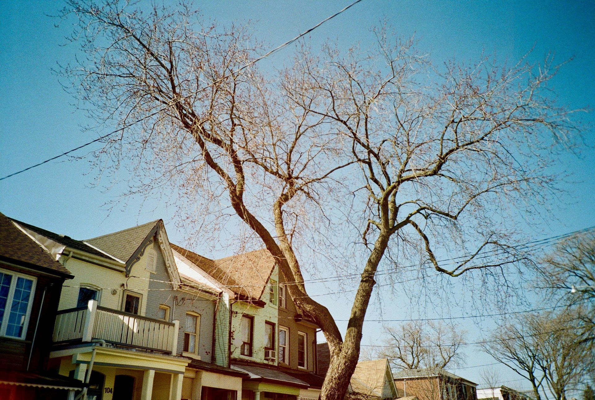 Winter upkeep responsibilities by Tenants