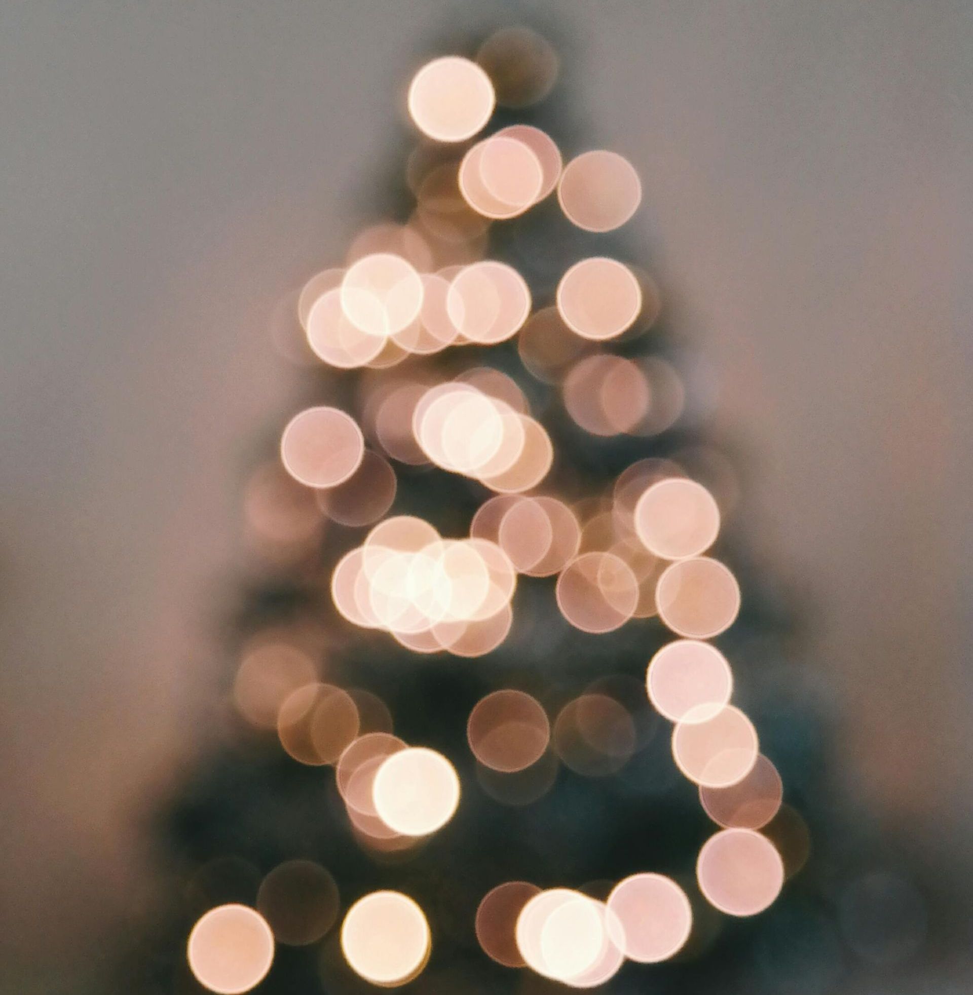 Guidelines for Holiday Decor and Exterior