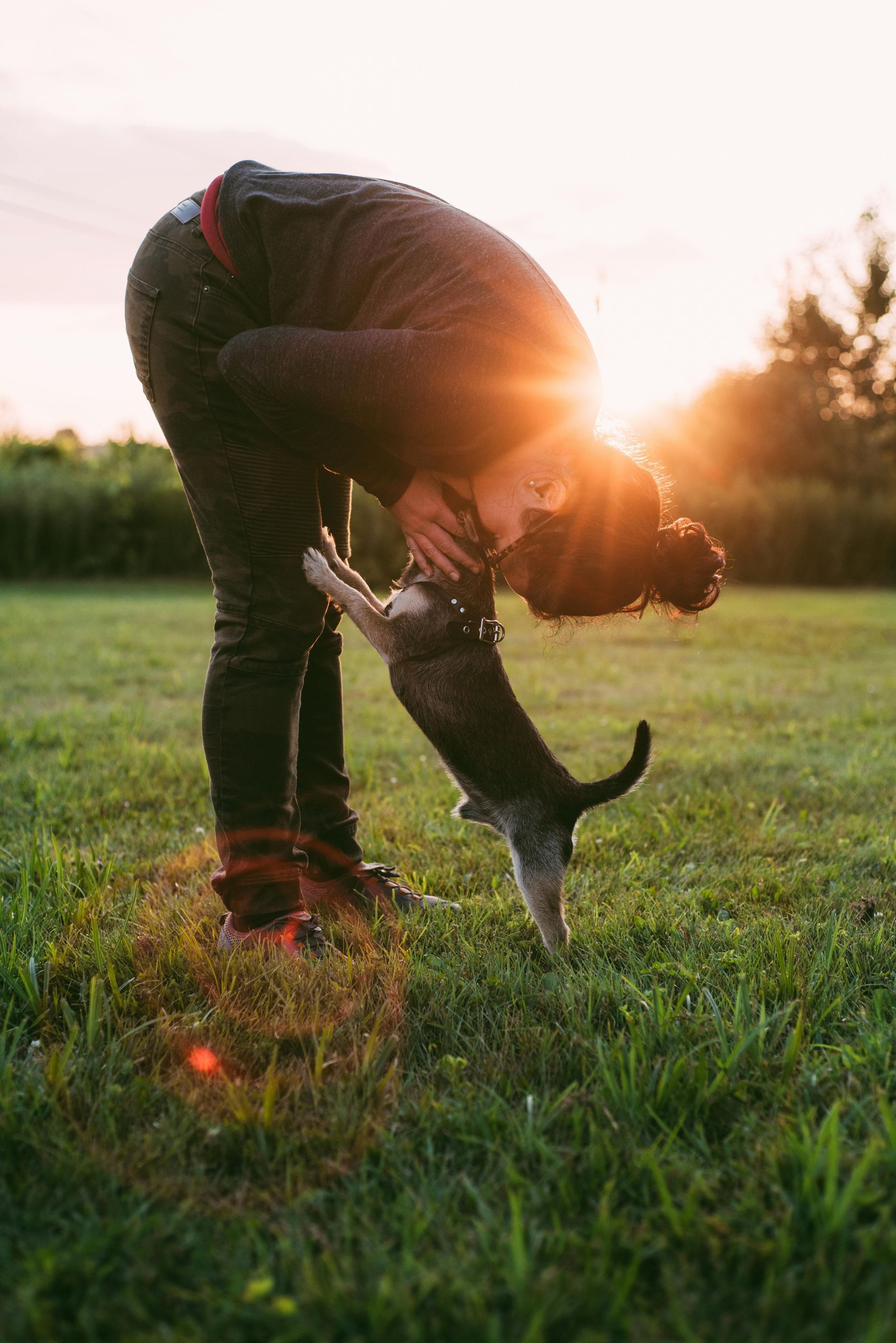 Debunking Myths About Emotional Support