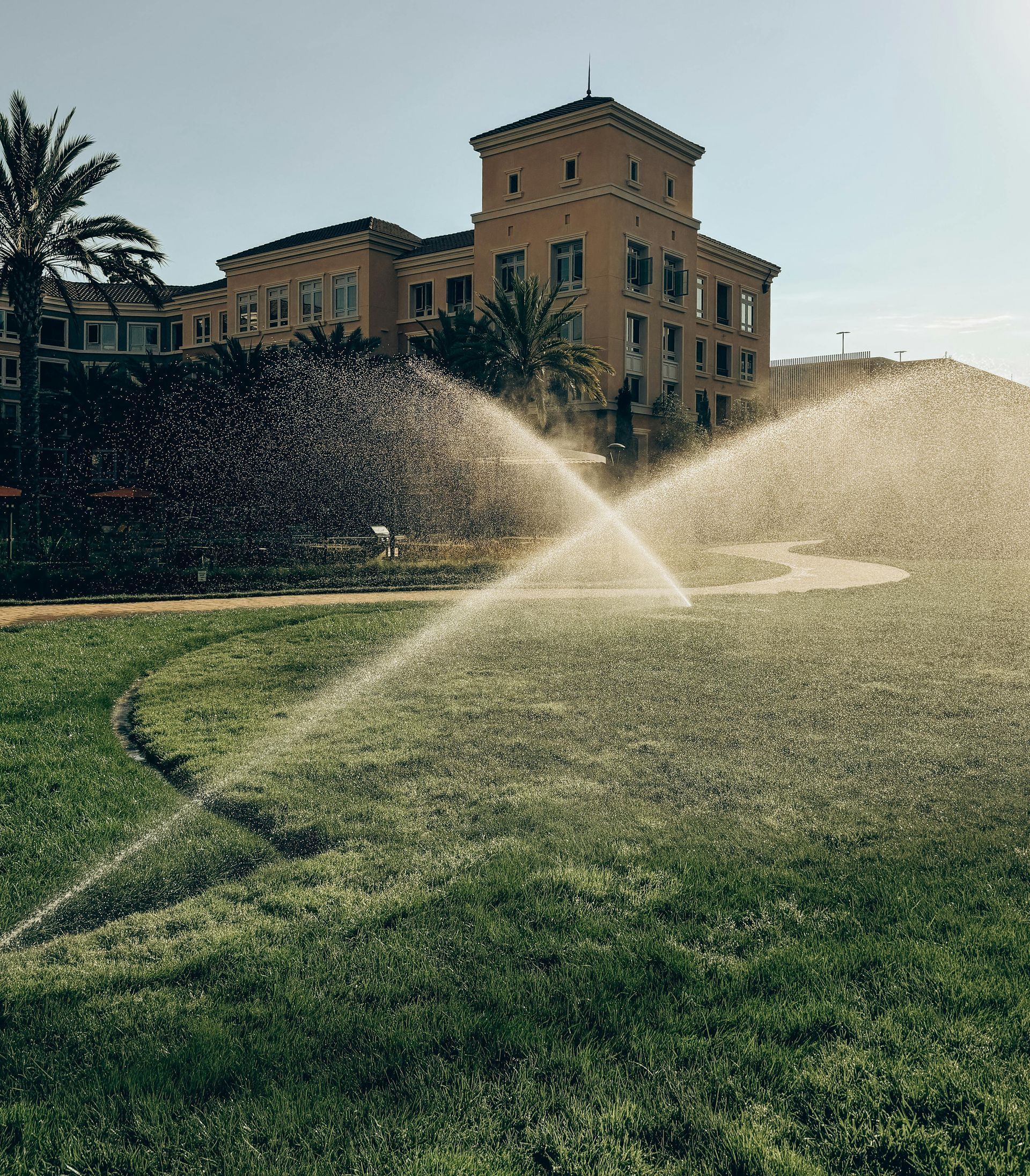 Winter Lawn Watering Schedule for HOAs