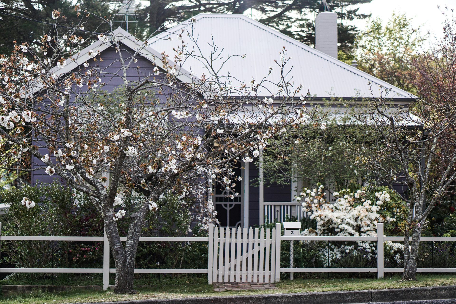 Springtime Property Care- Homeowners
