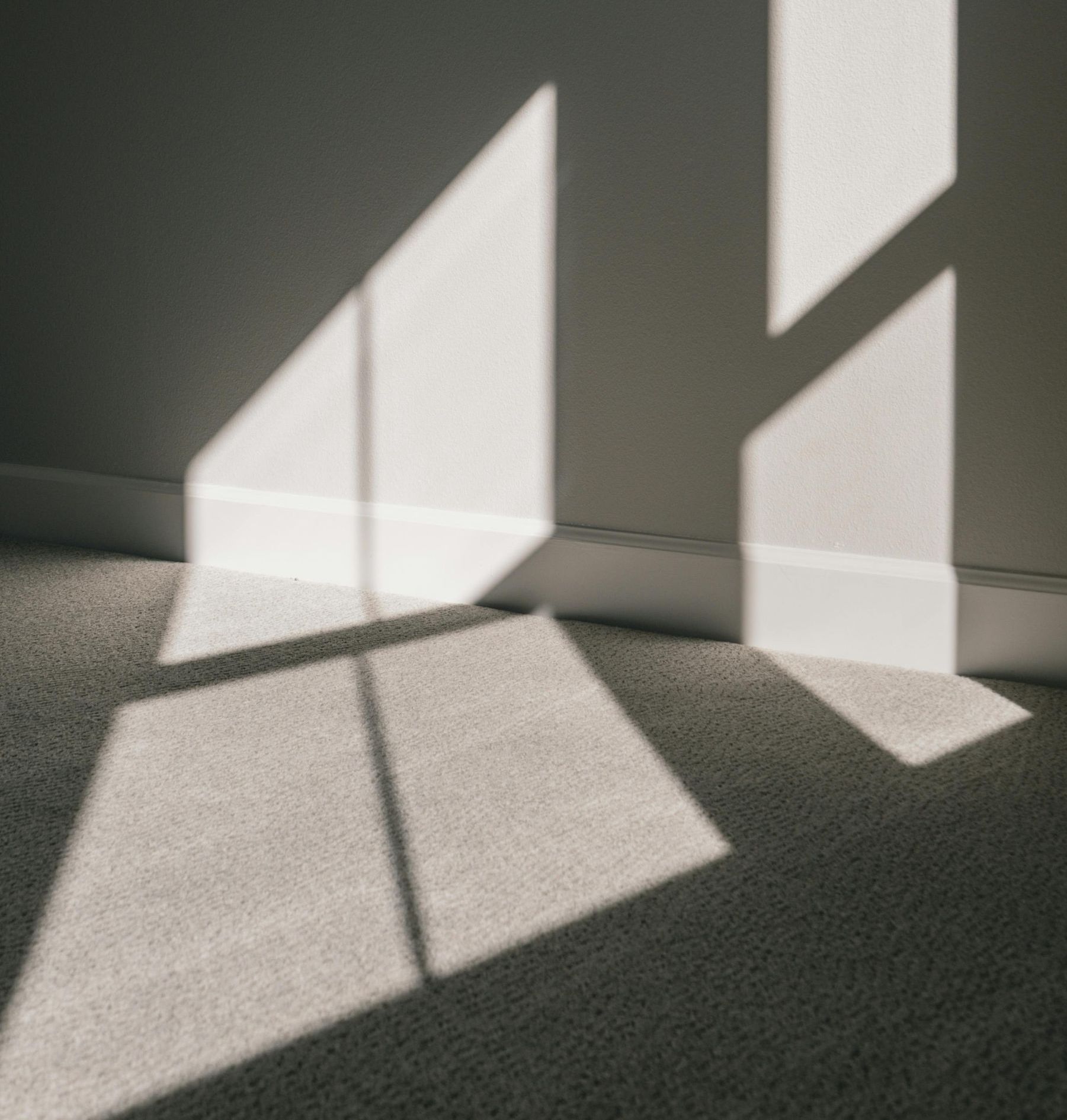 Carpet Floor Care