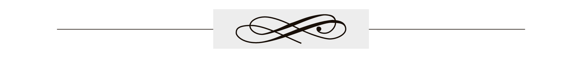 Decorative black flourish centered between two thin horizontal lines on a white background