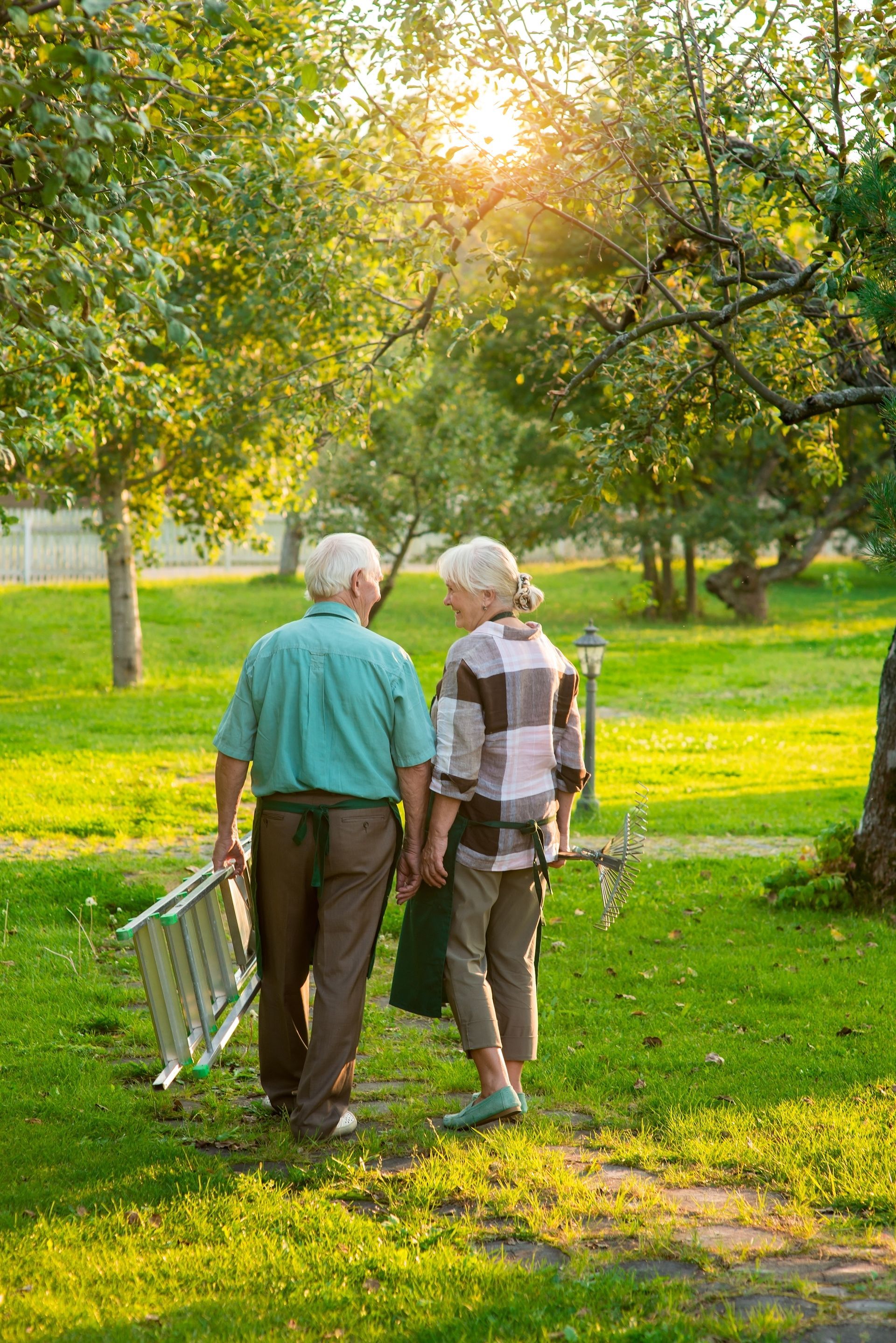 A man and a woman are walking in a park holding a ladder.