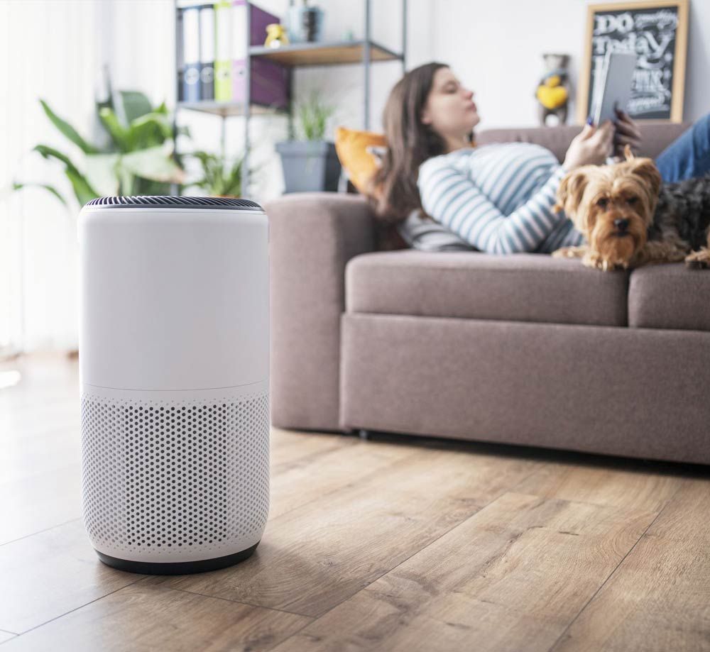 White air purifier in a bright living room with a woman relaxing on a sofa and a small dog nearby