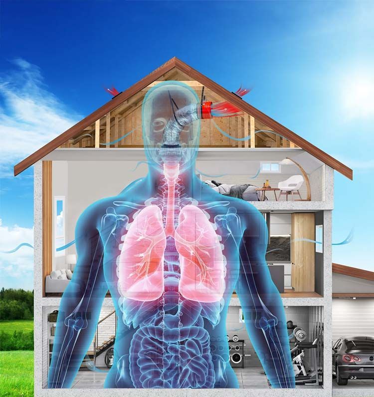 House cutaway showing a translucent human torso with glowing lungs and airway, suggesting indoor air quality effects
