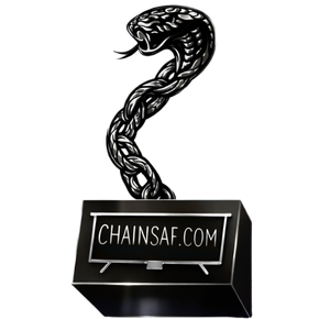 Computer screen wrapped in a chain with hooks, CHAINSF.COM displayed on the screen.