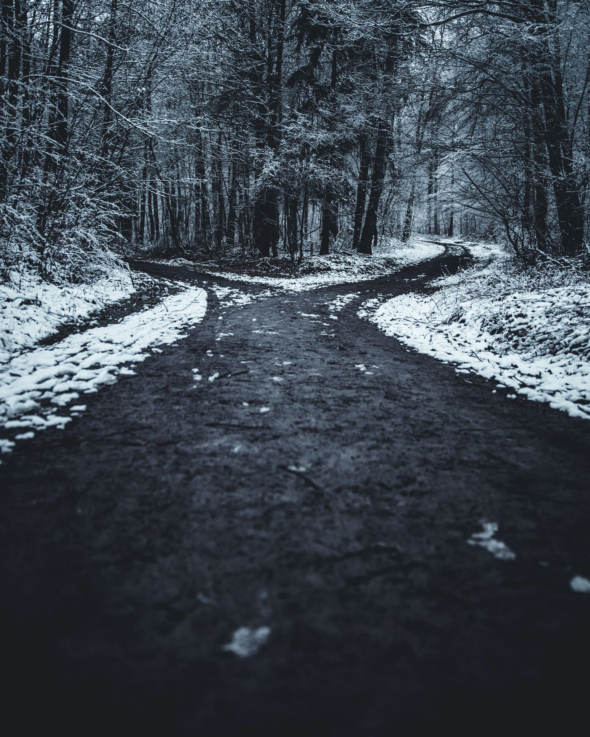 fork in the road on a wintery, snowy path