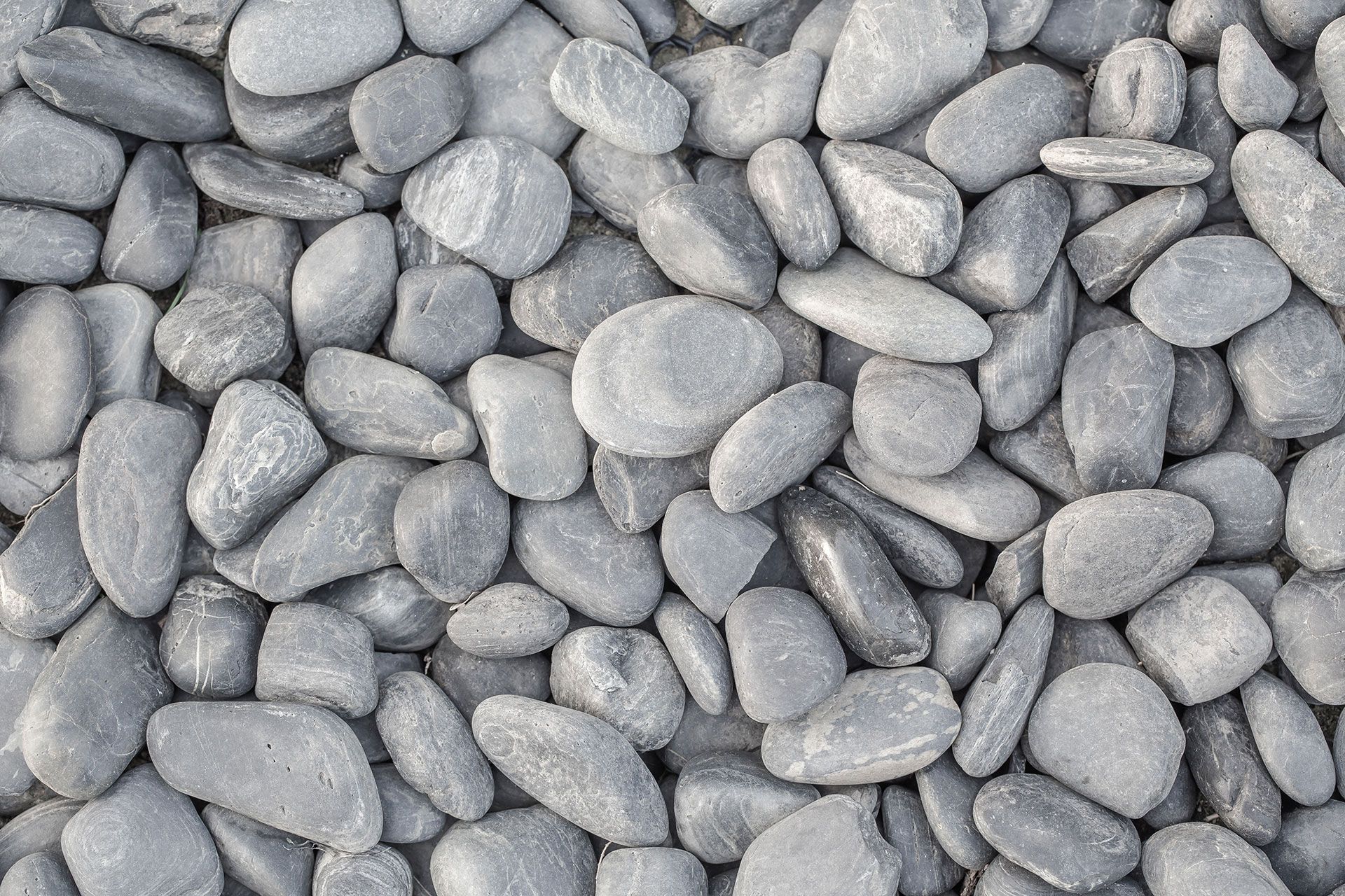 small smooth waterworn black pebbles or stones for use decor and garden landscaping. tone garden interiors. stone spa