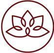 piante ayurveda