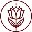piante ayurveda