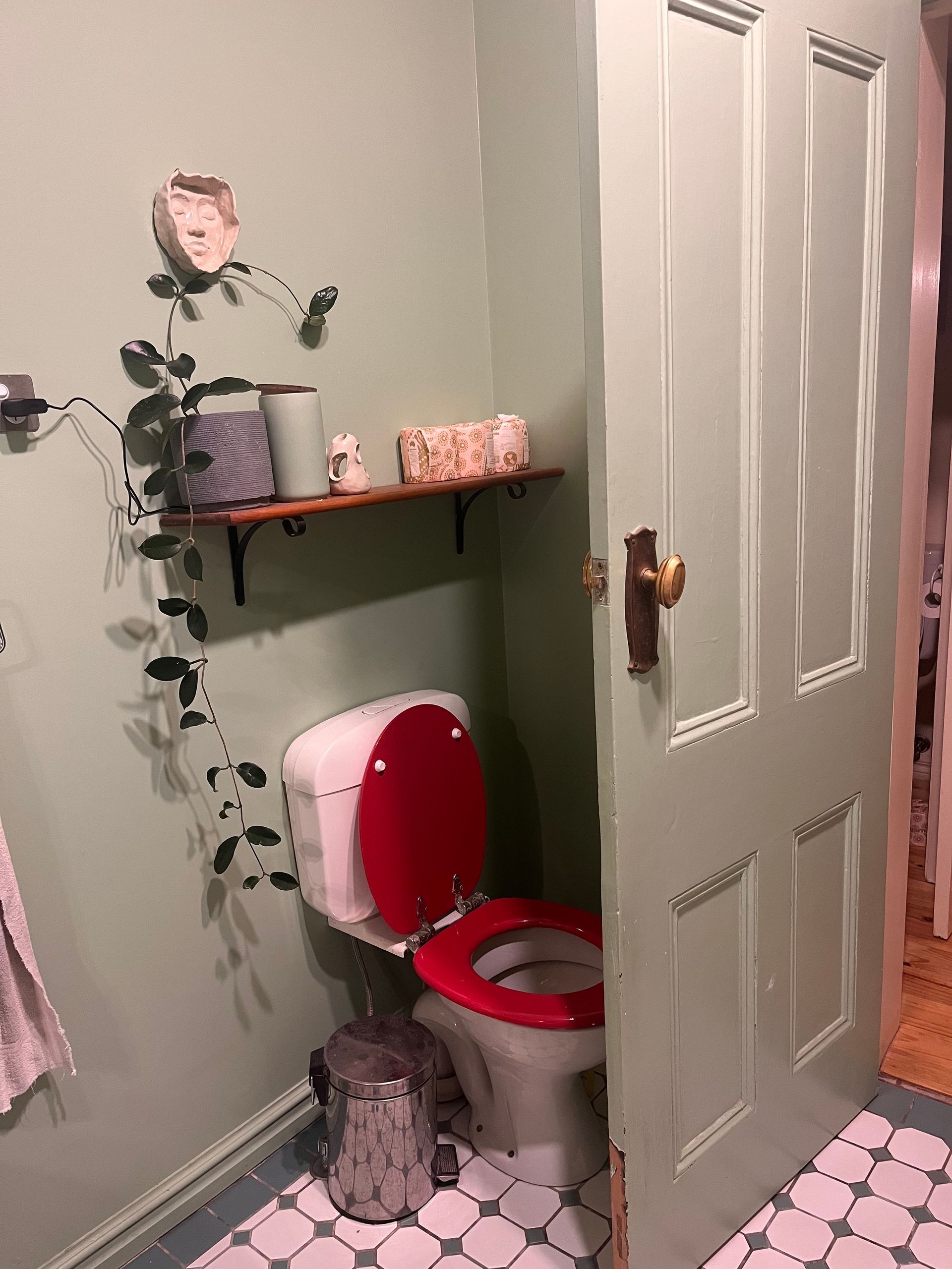 Small green painted bathroom with a red-and-white toilet, wall shelf, and trailing plant decor.
