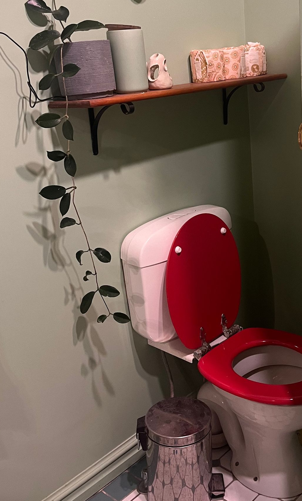 Bathroom with a red toilet, wall shelf, hanging vine plant, and woven baskets