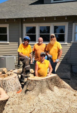 Cut off big tree - Tree Removal in Medford, OR