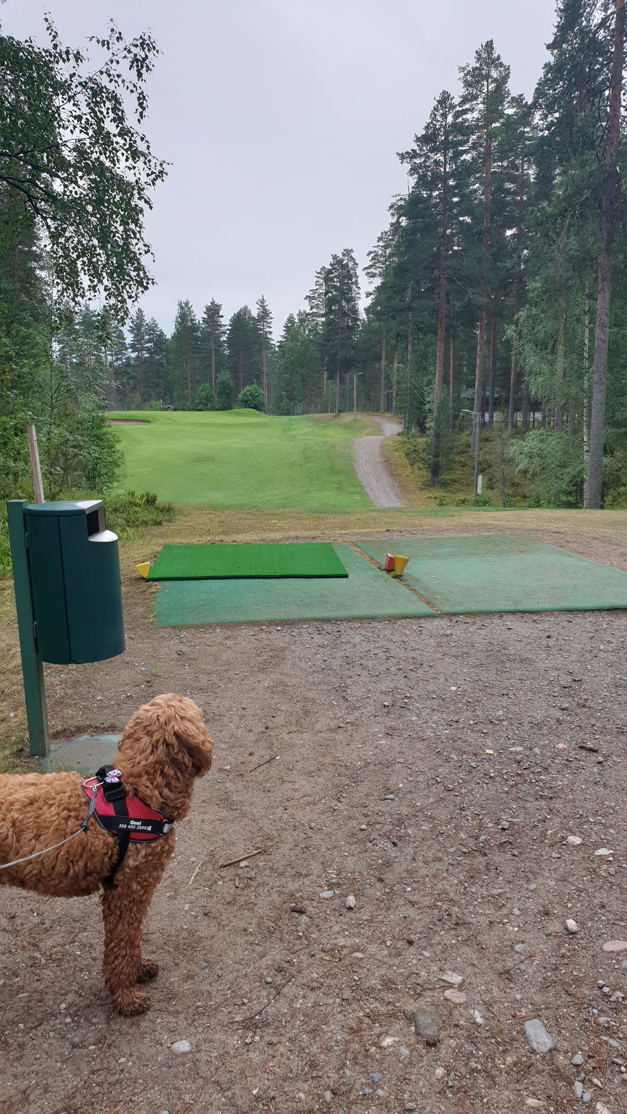 Golf