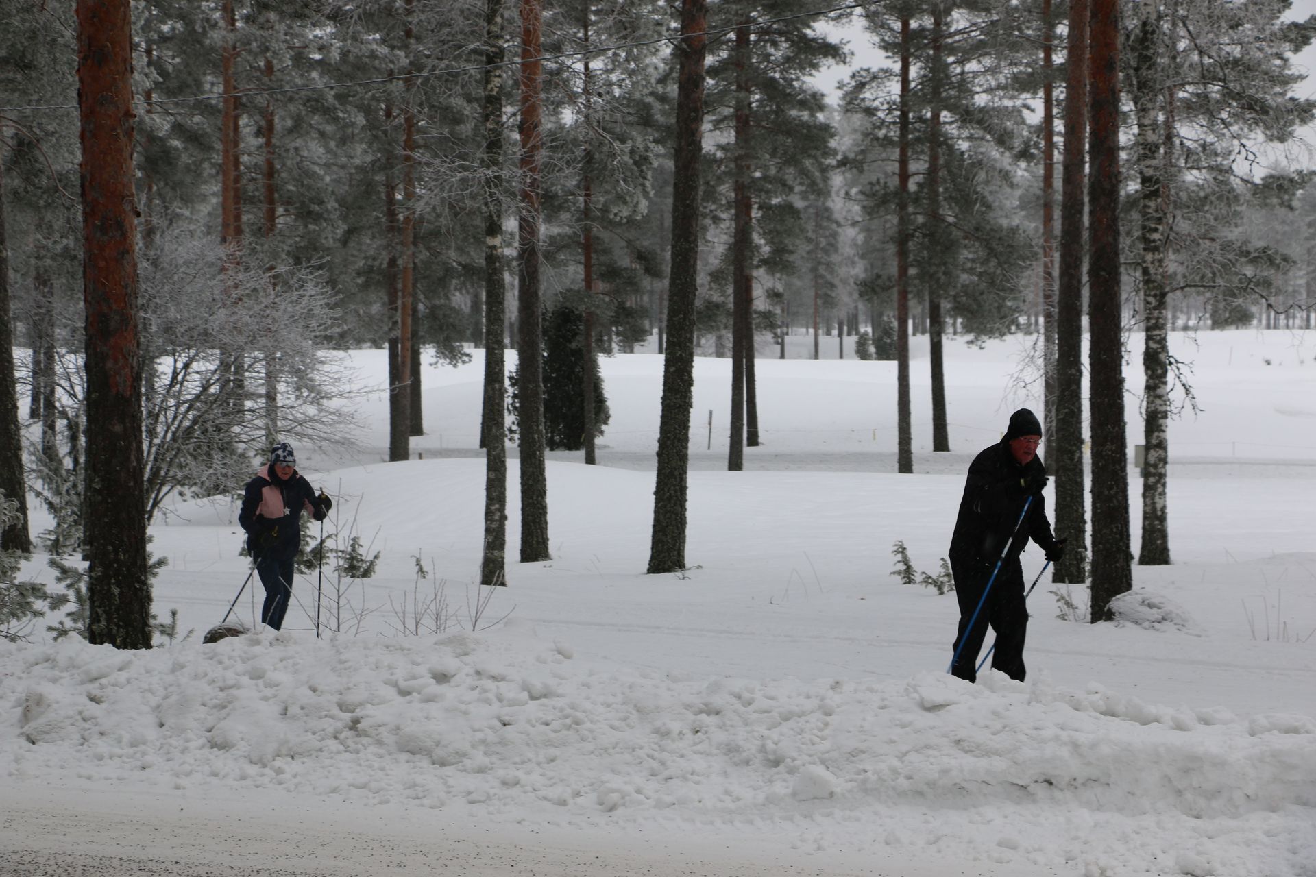 Two people are shoveling snow in a snowy forest