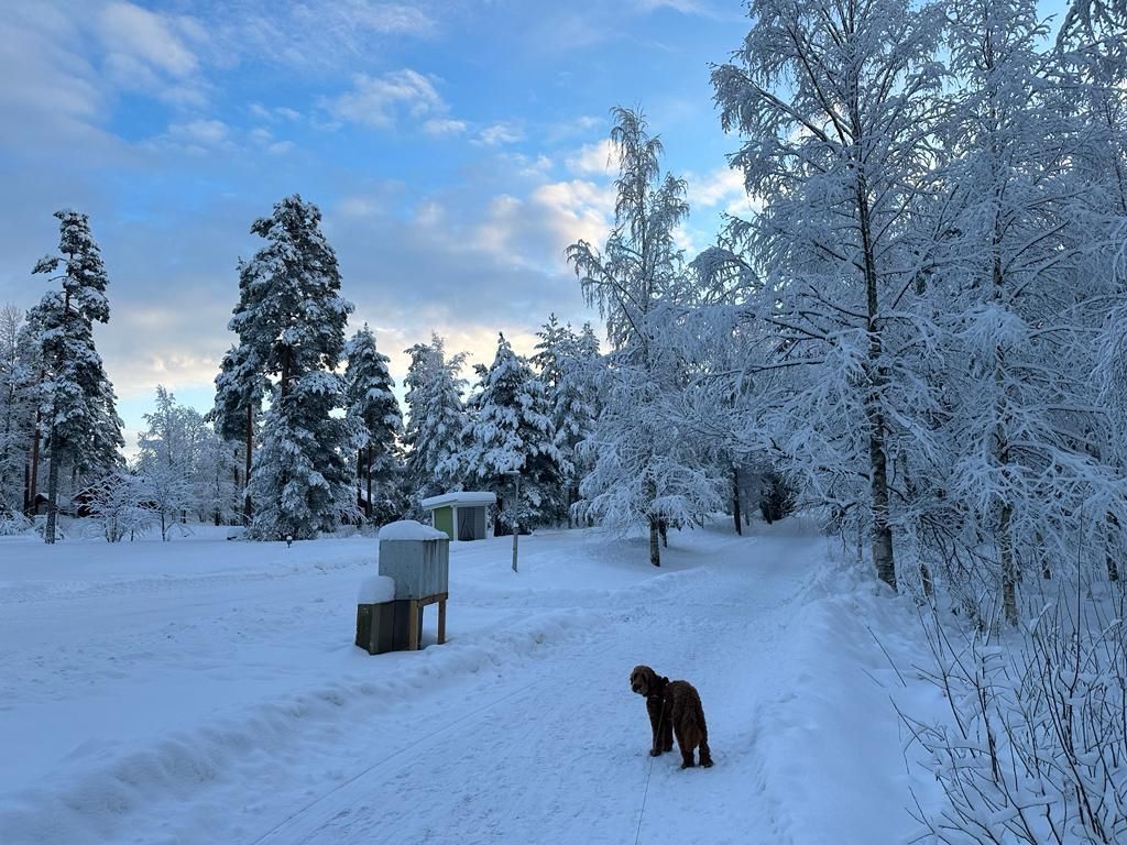 Maisemaa