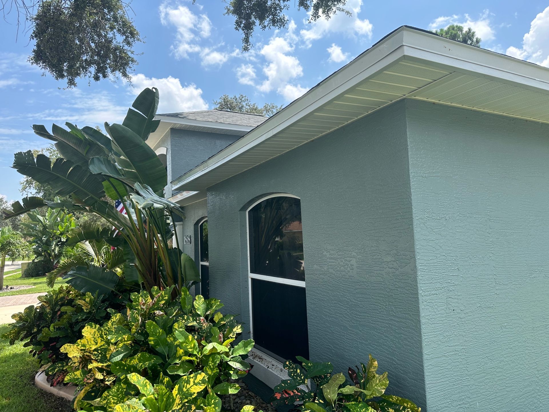A house with a lot of plants in front of it