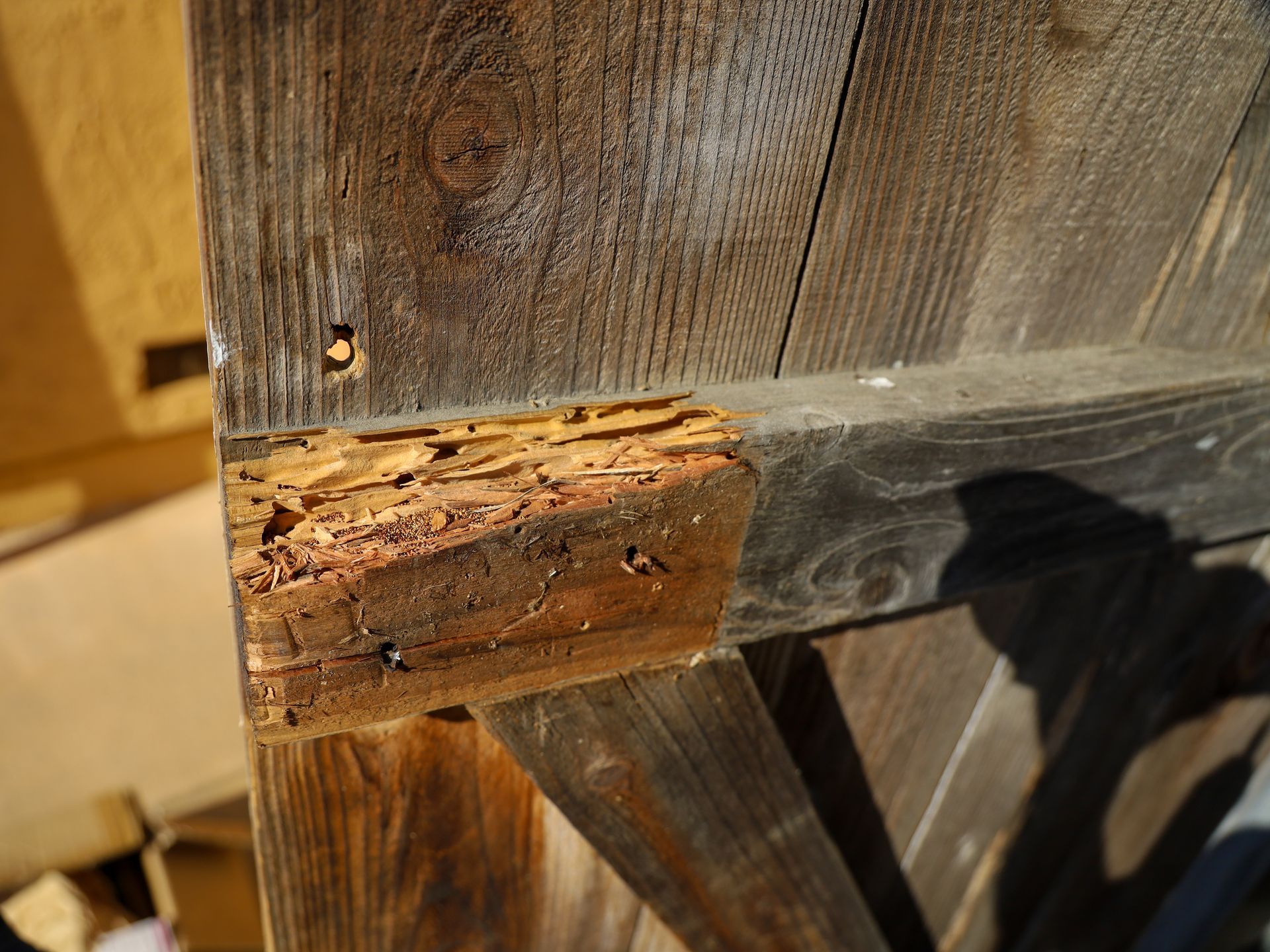 Close-up of a weathered wooden corner joint with chipped, damaged wood and dark stains.
