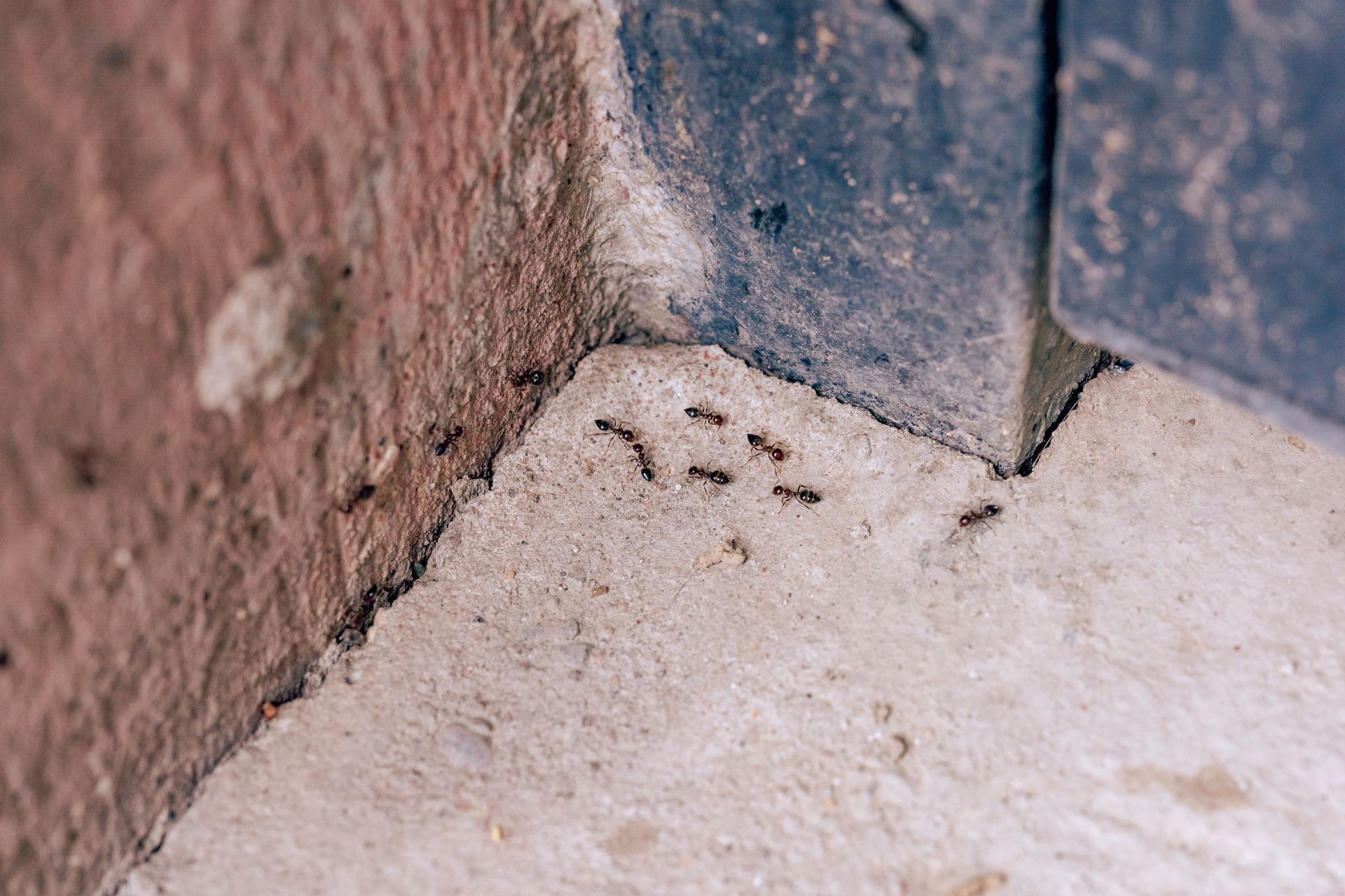 Close-up of a wall corner with peeling pink paint and a blue-gray doorframe on a dusty floor