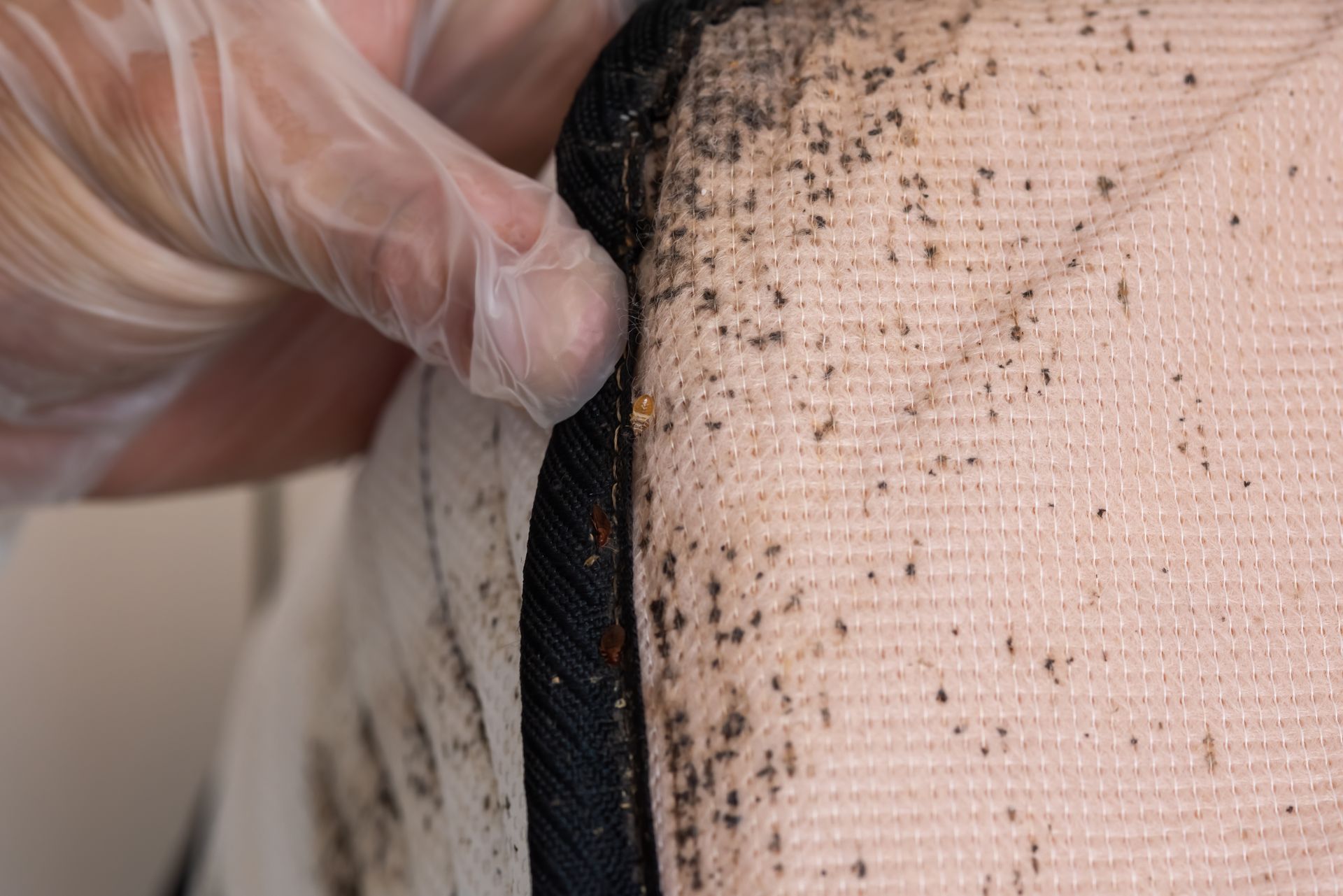 Gloved hand holding a speckled beige and black fabric seam close-up