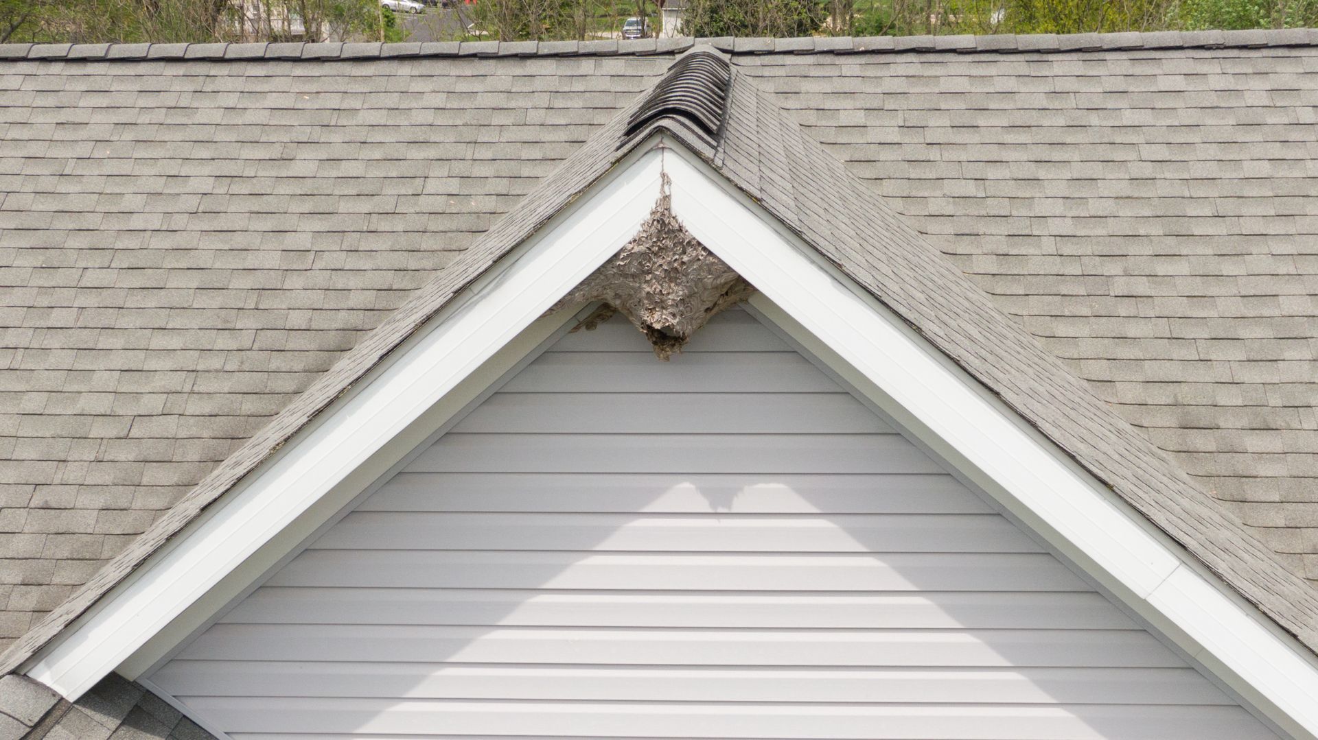 Roof gable with gray shingles and white siding, showing a damaged center ridge vent or flashing.