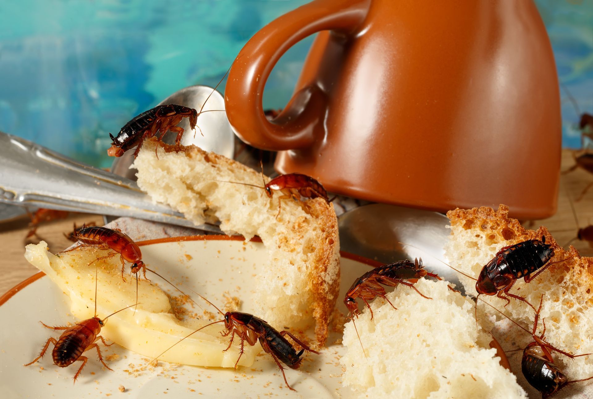 Cockroaches crawling over broken bread beside a brown mug and tongs on a table