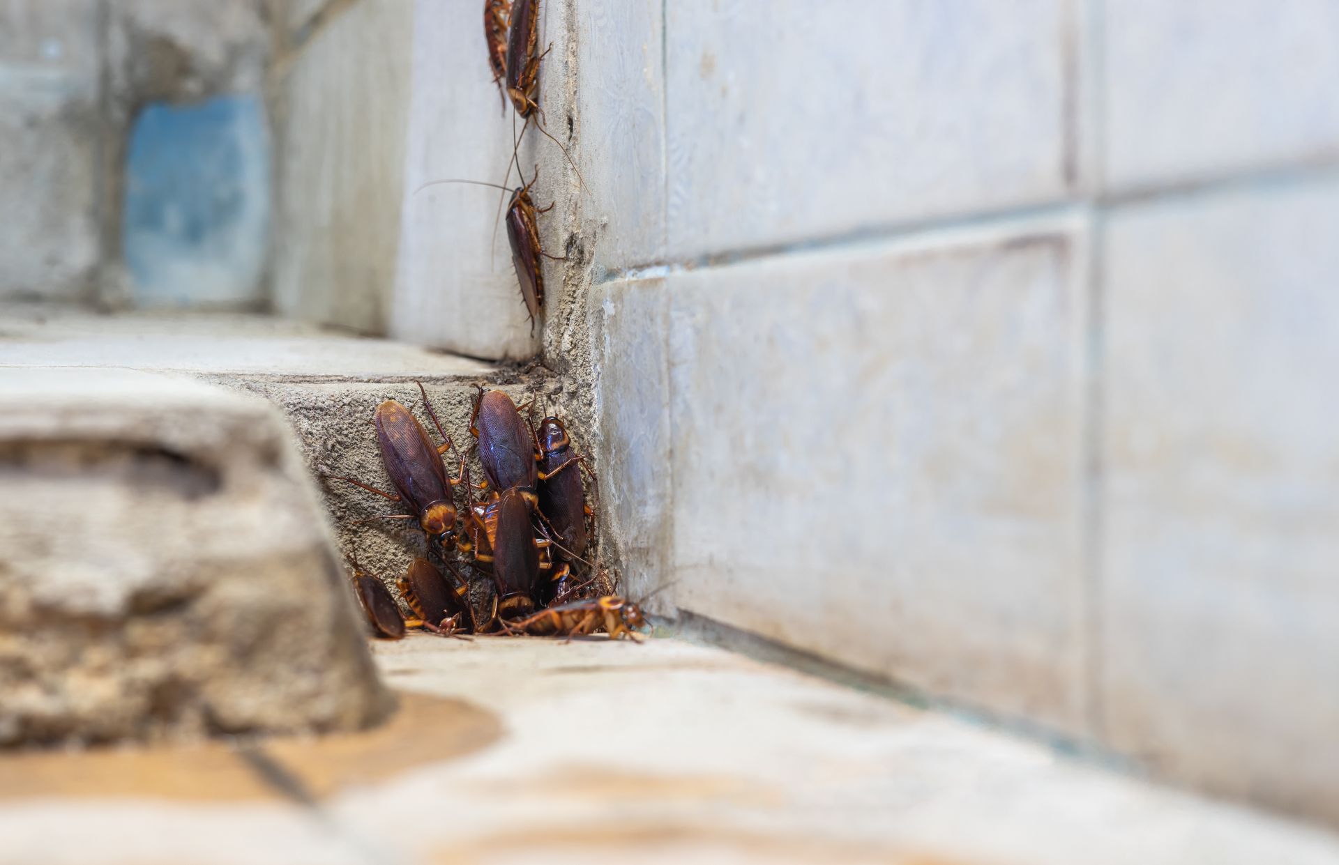 Rusty drain corner in a tiled bathroom sink with dirty residue around the base