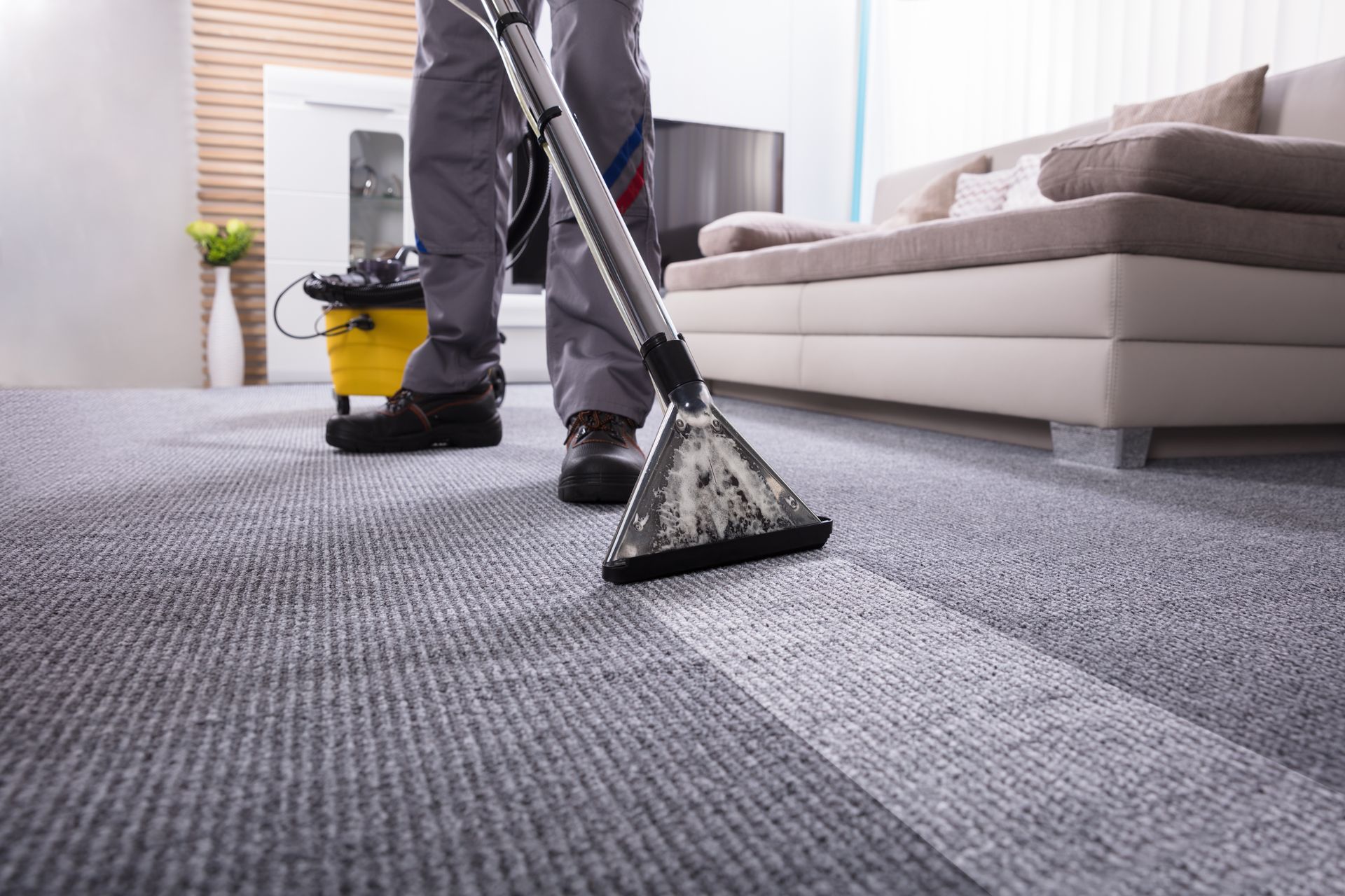 Professional carpet cleaner using steam extraction machine on gray carpet in living room.