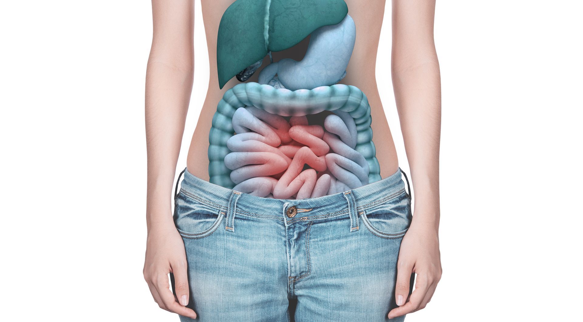 Hérnia de disco afeta o intestino
