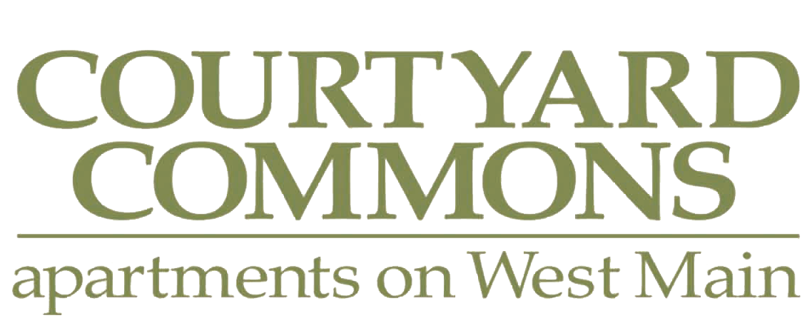 The Met Logo