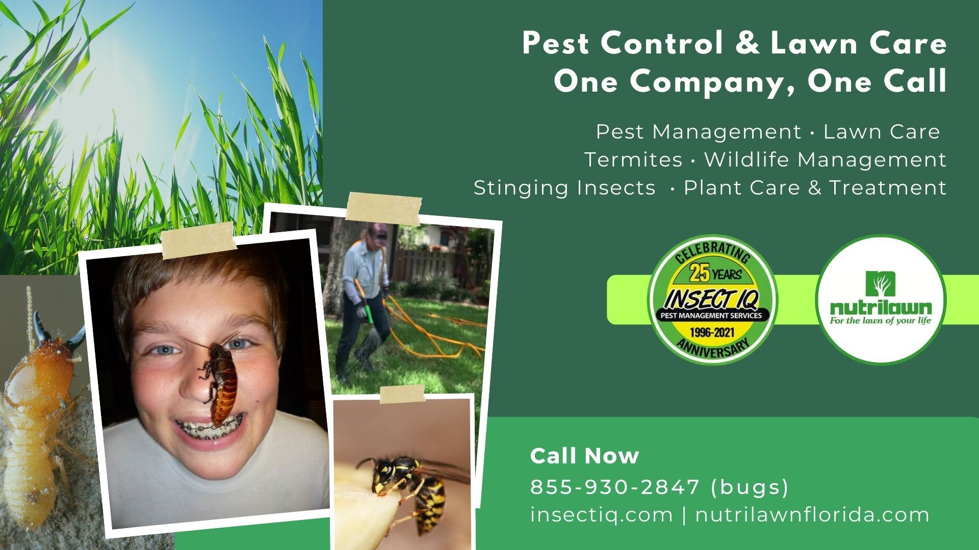 Pest Control & Lawn Maintenance—One Company, One Call