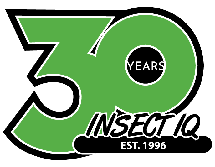 Celebrating 25 years Insect IQ