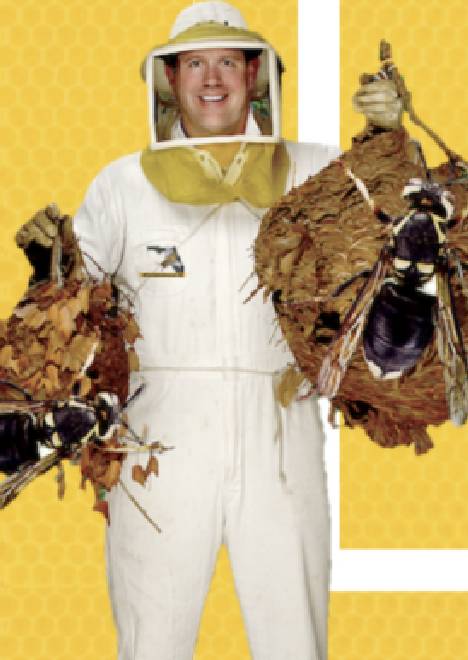 Stinging Insect control