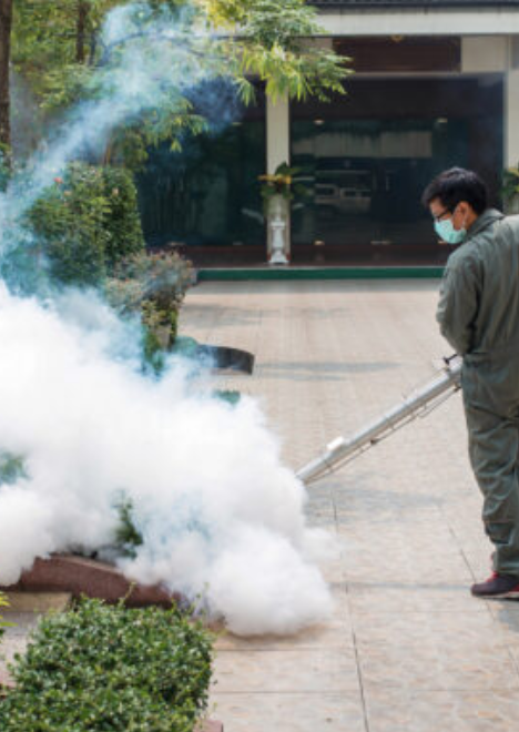 Mosquito Control
