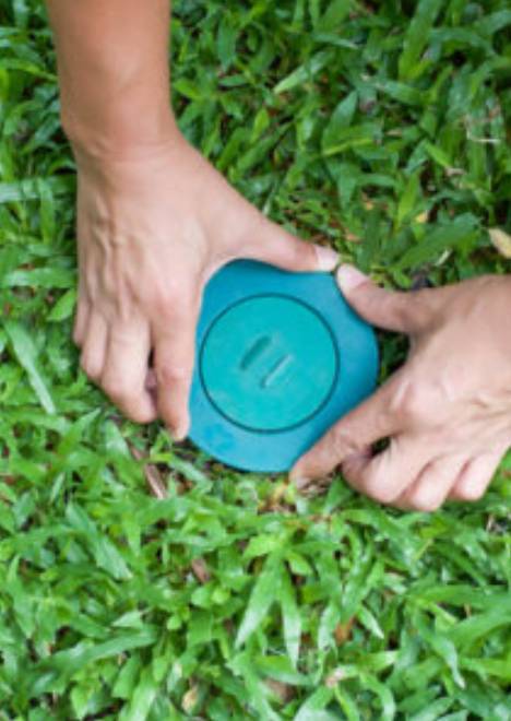 Termite Control