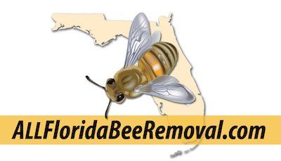 ALLFLORIDABEEREMOVAL.COM