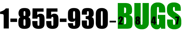 Phone Number