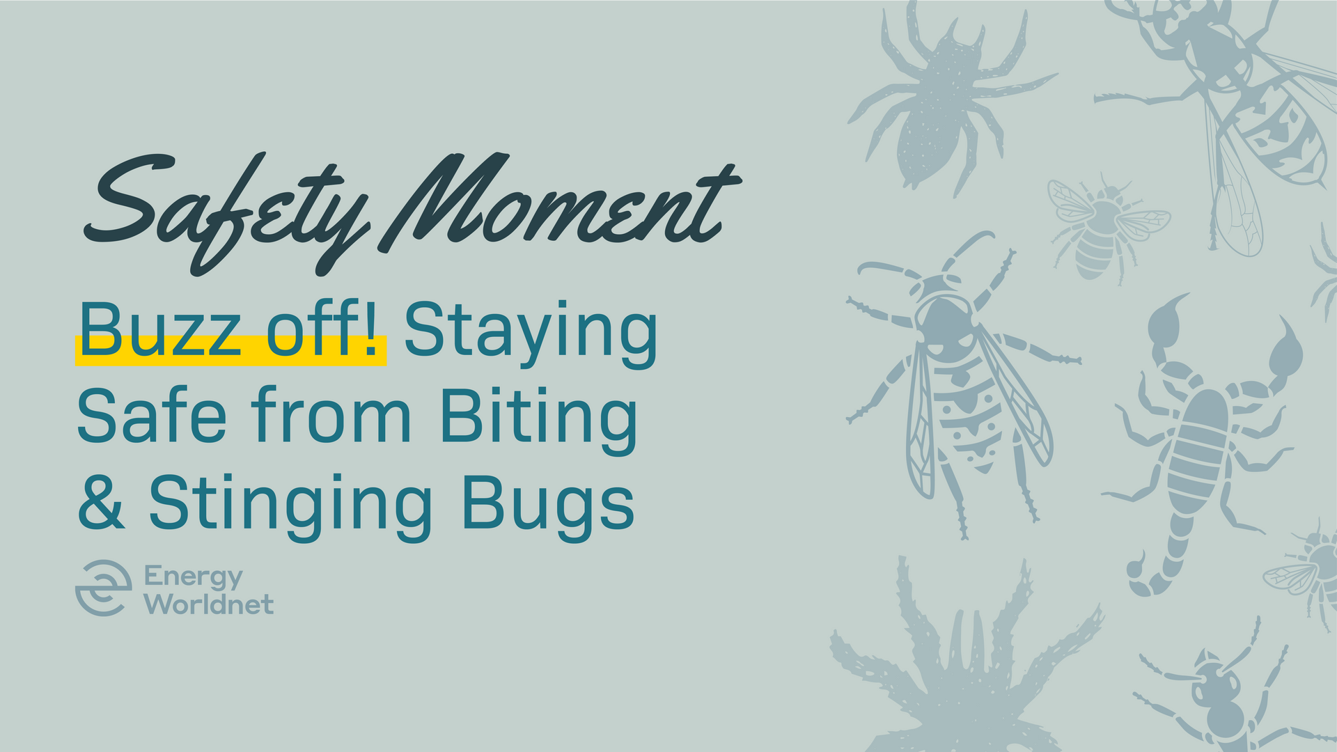 Safety Moment poster: “Buzz off! Staying Safe from Biting & Stinging Bugs” with insect illustrations on pale blue.
