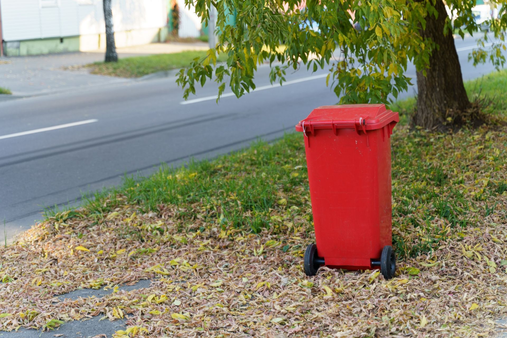 dirty trash bin cleaning service