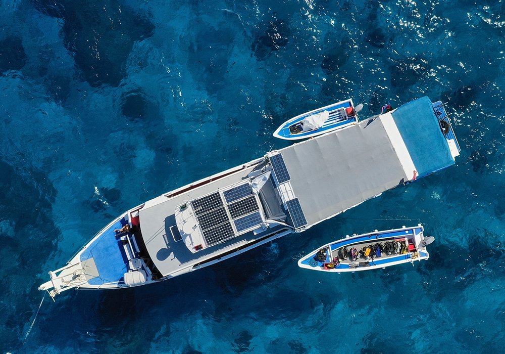 Convenient Travel Agency Puyallup, WA Carefree Travel & Cruise LLC