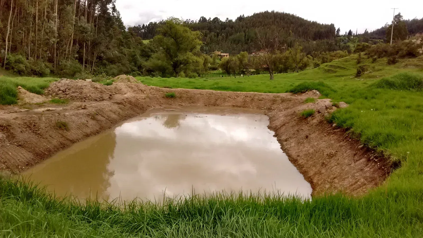 Pond Digging