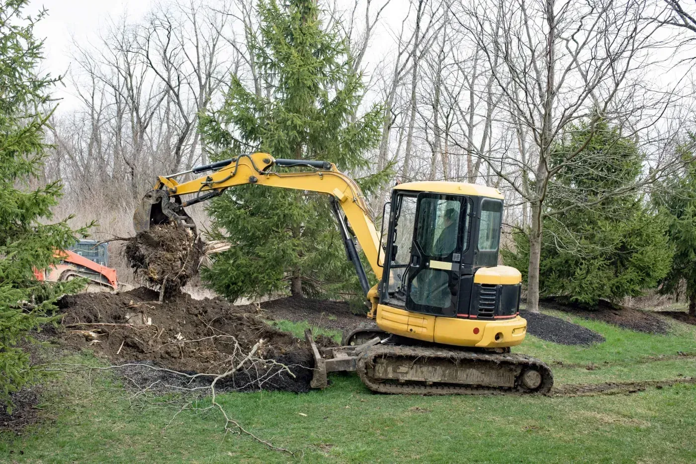 Land Clearing & Stump Removal